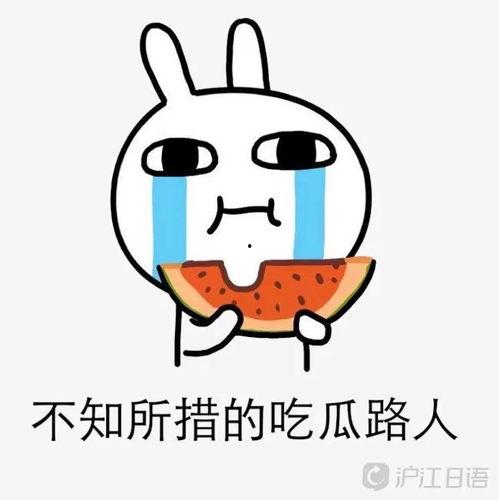 娱乐圈吃瓜文案搞笑图片,搞笑图片带你领略“吃瓜”乐趣